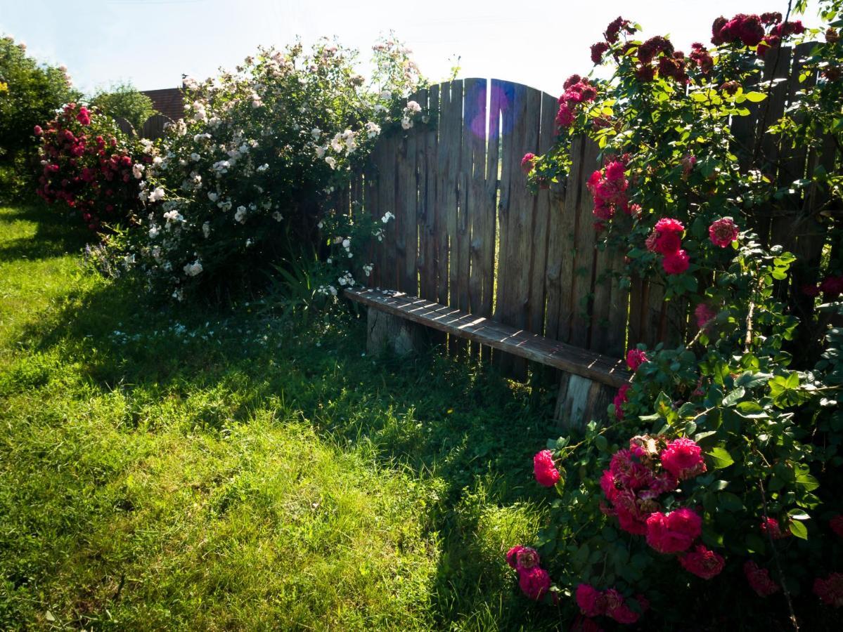 Vesela Sadyba Veselivka Exteriér fotografie