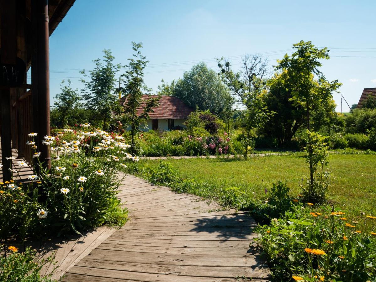 Vesela Sadyba Veselivka Exteriér fotografie